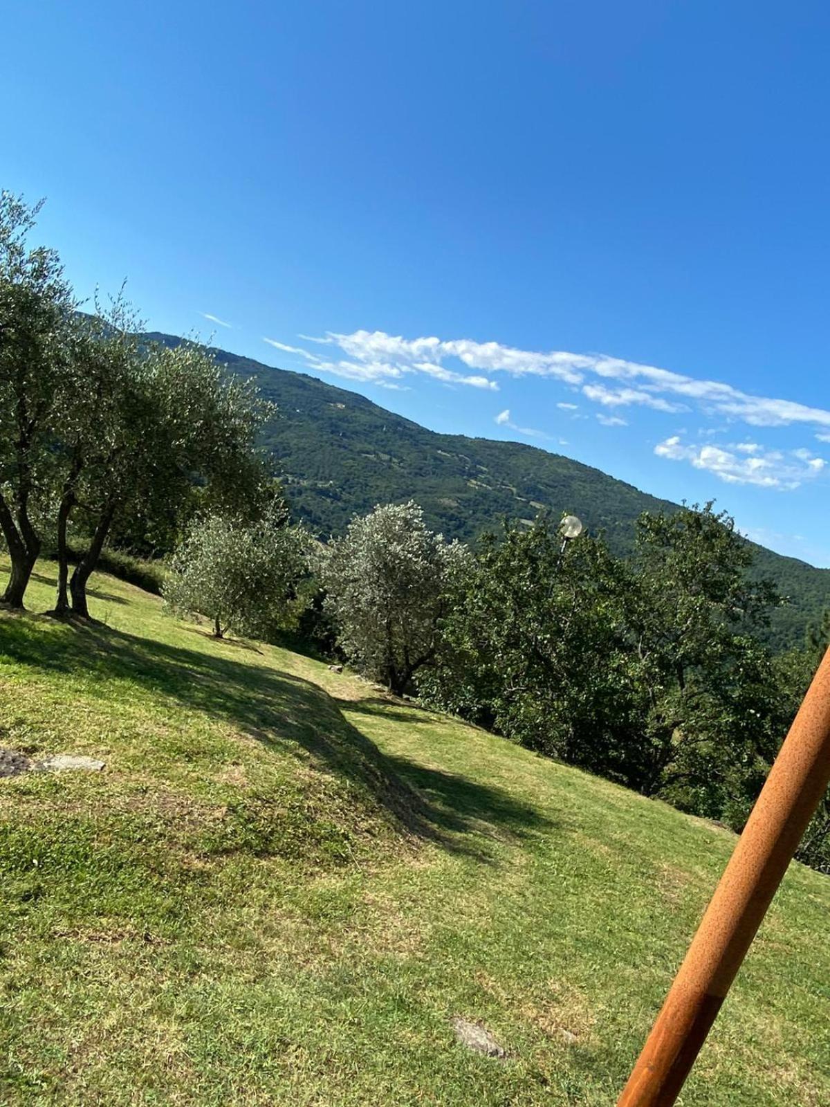 Locanda Di Praticino Rufina ภายนอก รูปภาพ
